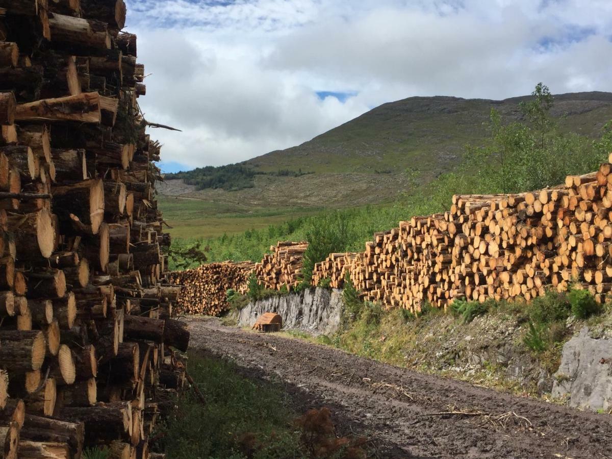 Álaind Lodges, Sneem Exterior foto